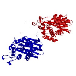 Image of CATH 4uaa