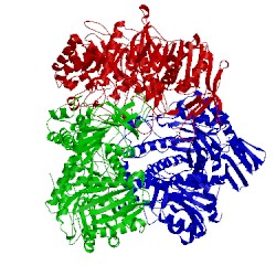 Image of CATH 4ucf