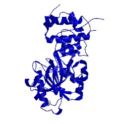 Image of CATH 4ud0