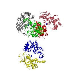 Image of CATH 4ud2