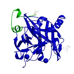 Image of CATH 4ud9