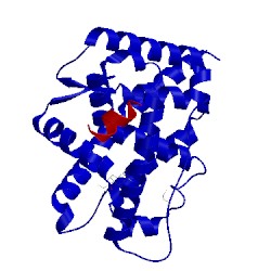 Image of CATH 4uda