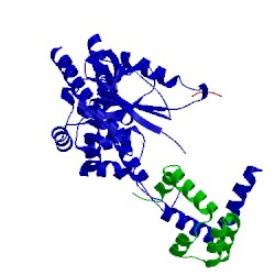 Image of CATH 4uel