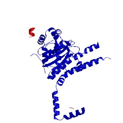 Image of CATH 4uf5