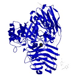 Image of CATH 4ufk