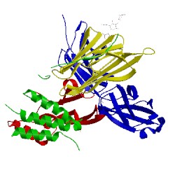 Image of CATH 4ui2