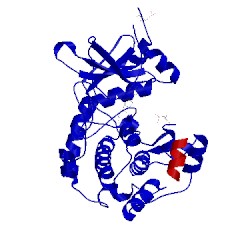 Image of CATH 4uj1