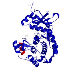 Image of CATH 4uj2