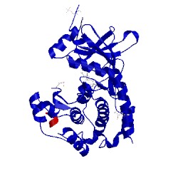 Image of CATH 4uj9