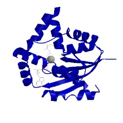 Image of CATH 4ukd