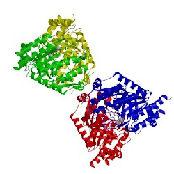 Image of CATH 4umb