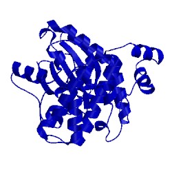 Image of CATH 4umr