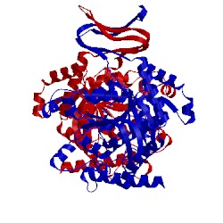 Image of CATH 4umx