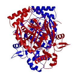 Image of CATH 4upn