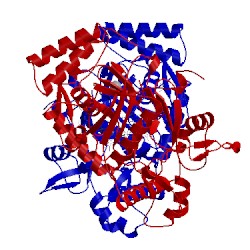 Image of CATH 4upo