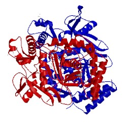 Image of CATH 4upq