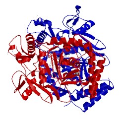 Image of CATH 4ups