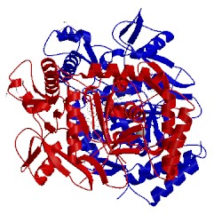 Image of CATH 4upt