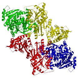 Image of CATH 4uqk