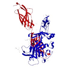 Image of CATH 4urt
