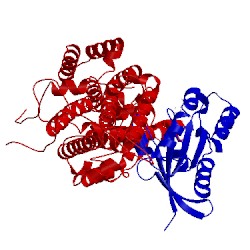 Image of CATH 4us1