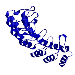 Image of CATH 4uuc