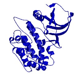 Image of CATH 4uv0
