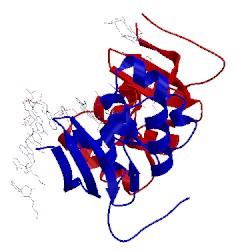 Image of CATH 4ux5