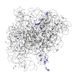 Image of CATH 4uy8