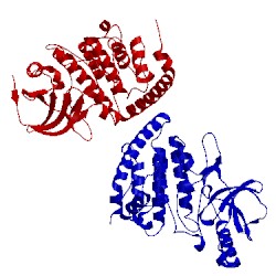 Image of CATH 4uy9