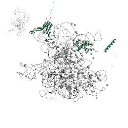 Image of CATH 4v19