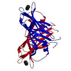 Image of CATH 4v29