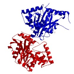 Image of CATH 4v36