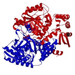 Image of CATH 4w1v