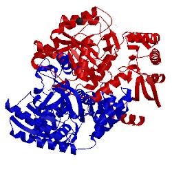 Image of CATH 4w1w
