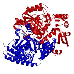 Image of CATH 4w1x
