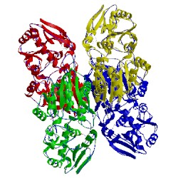 Image of CATH 4w6q