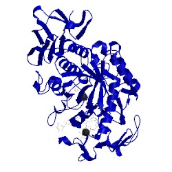 Image of CATH 4w93