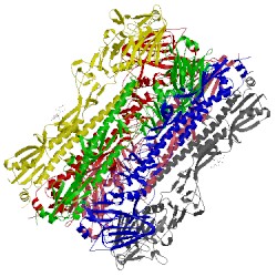 Image of CATH 4wa1