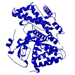 Image of CATH 4wag