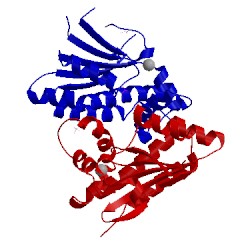 Image of CATH 4wam