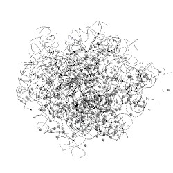 Image of CATH 4wce