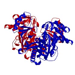 Image of CATH 4wd3