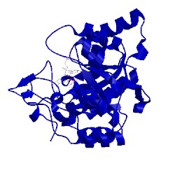 Image of CATH 4wdt