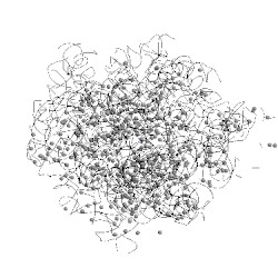 Image of CATH 4wfb