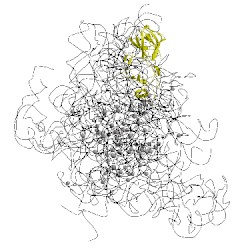 Image of CATH 4wfn