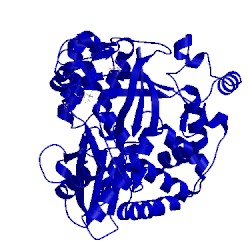 Image of CATH 4wfy