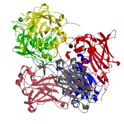 Image of CATH 4whs