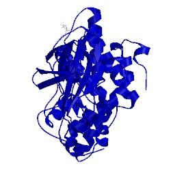 Image of CATH 4whz