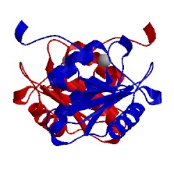 Image of CATH 4wig